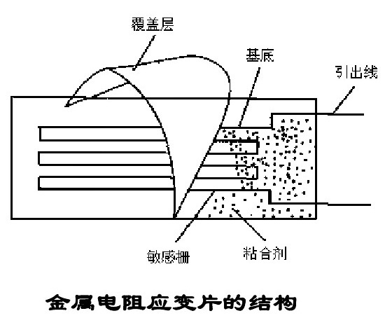 金属电阻应变片的内部结构.jpg